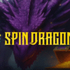 Spin Dragons