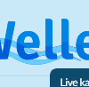 Welle