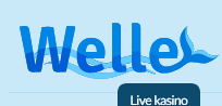 Welle